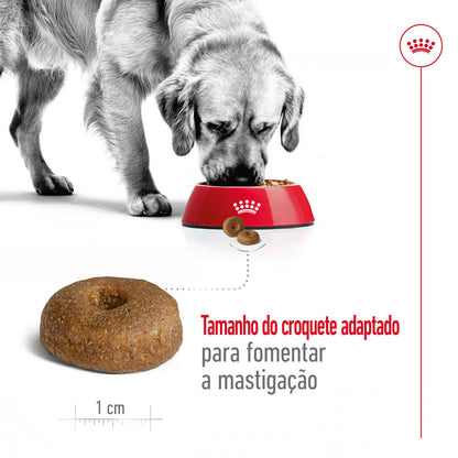 Royal Canin Maxi Ageing 8+ - Ração seca para cão sénior de porte grande com mais de 8 anos