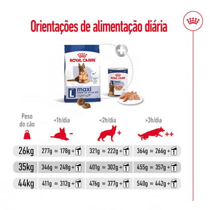 Royal Canin Maxi Ageing 8+ - Ração seca para cão sénior de porte grande com mais de 8 anos