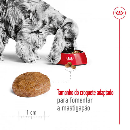 Royal Canin Medium Adult 7+ - Raçao seca para cão maduro de raça média