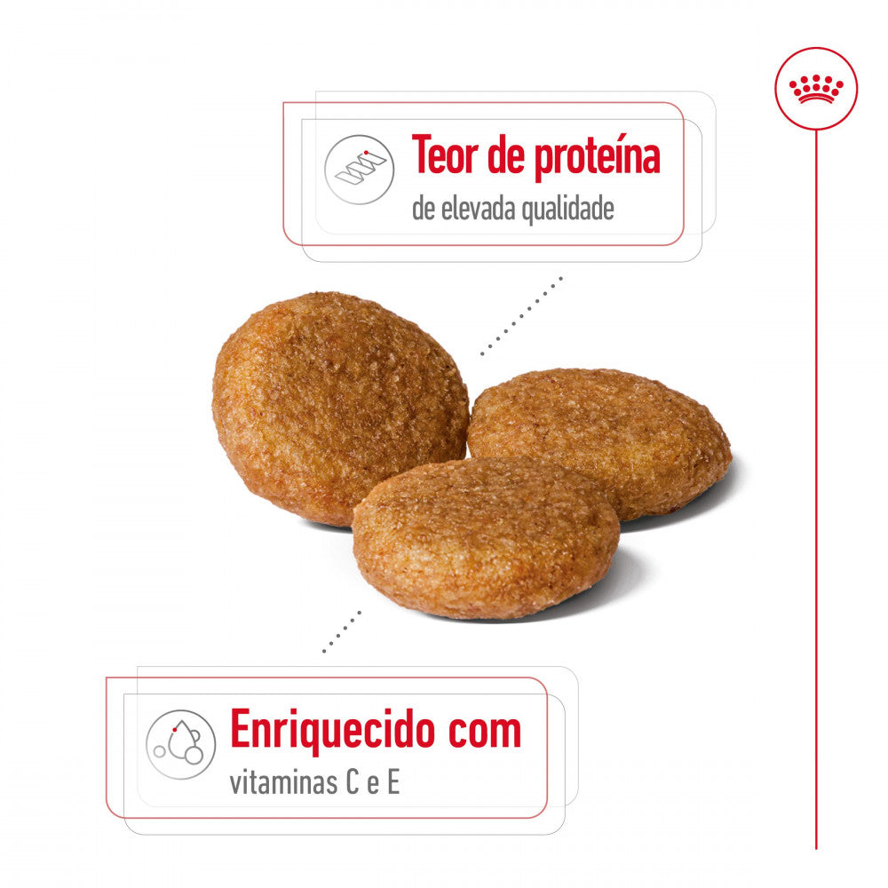 Royal Canin Medium Adult - Ração seca para cão de porte médio