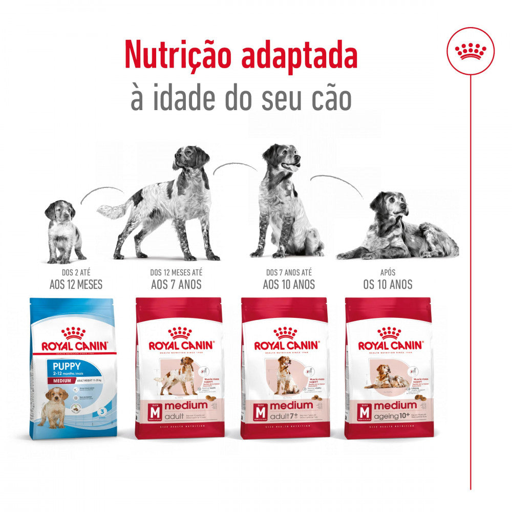Royal Canin Medium Adult - Ração seca para cão de porte médio