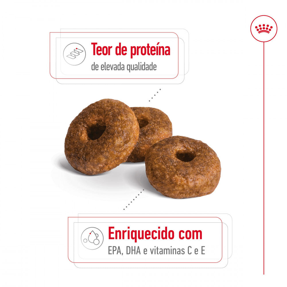Royal Canin Medium Ageing 10+ - Ração seca para cão sénior de porte médio com mais de 10 anos