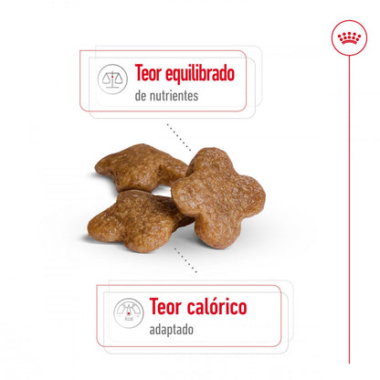 Royal Canin Mini Adult 8+ - Ração seca para cão de porte pequeno com mais de 8 anos