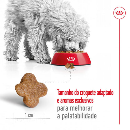 Royal Canin Mini Adult 8+ - Ração seca para cão de porte pequeno com mais de 8 anos