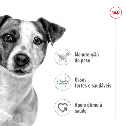 Royal Canin Mini Adult - Ração seca para cão de porte pequeno