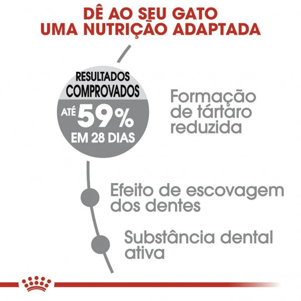 Royal Canin Dental Care – Ração Seca para Gato Adulto (Saúde Oral)