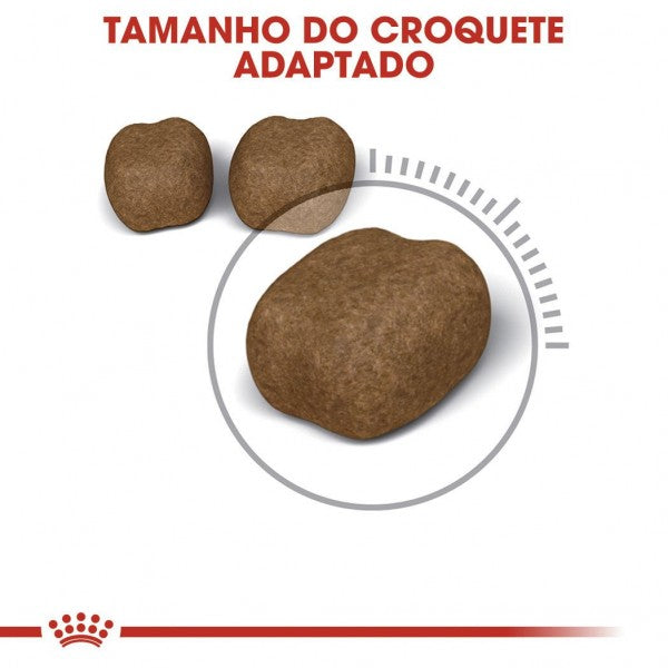 Royal Canin Dental Care – Ração Seca para Gato Adulto (Saúde Oral)