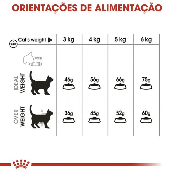 Royal Canin Dental Care – Ração Seca para Gato Adulto (Saúde Oral)