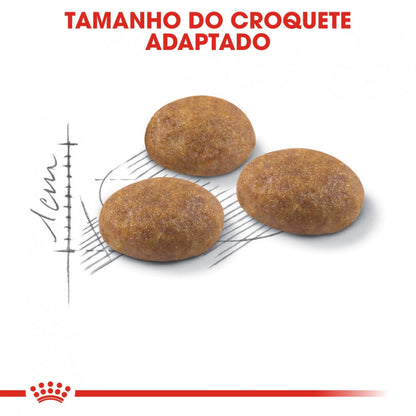 Royal Canin Outdoor Adult - Ração seca para gato de exterior