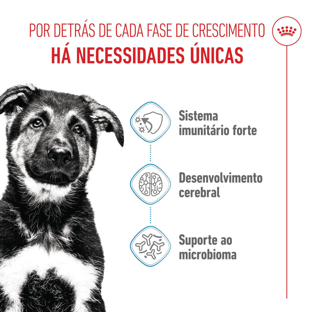 Royal Canin Puppy Maxi - Ração seca para cachorro de porte grande