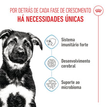 Royal Canin Puppy Maxi - Ração seca para cachorro de porte grande