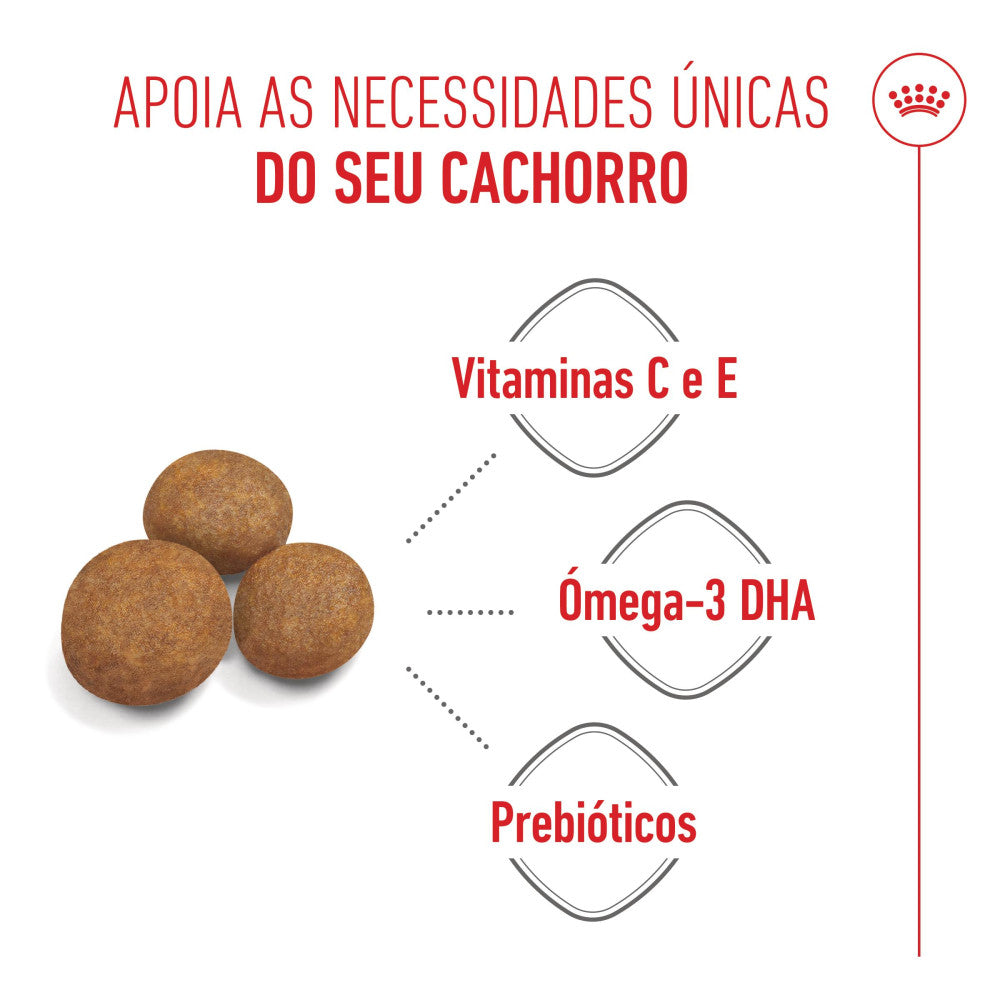 Royal Canin Puppy Maxi - Ração seca para cachorro de porte grande