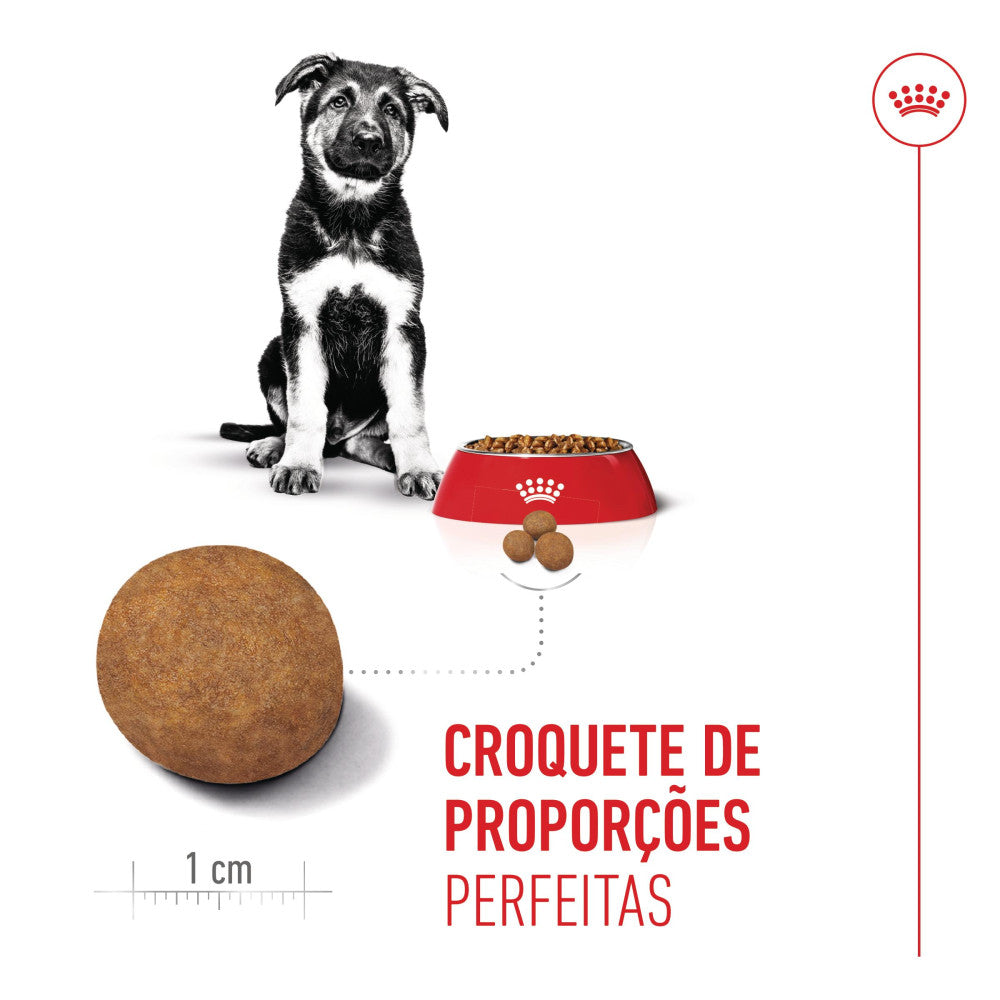 Royal Canin Puppy Maxi - Ração seca para cachorro de porte grande