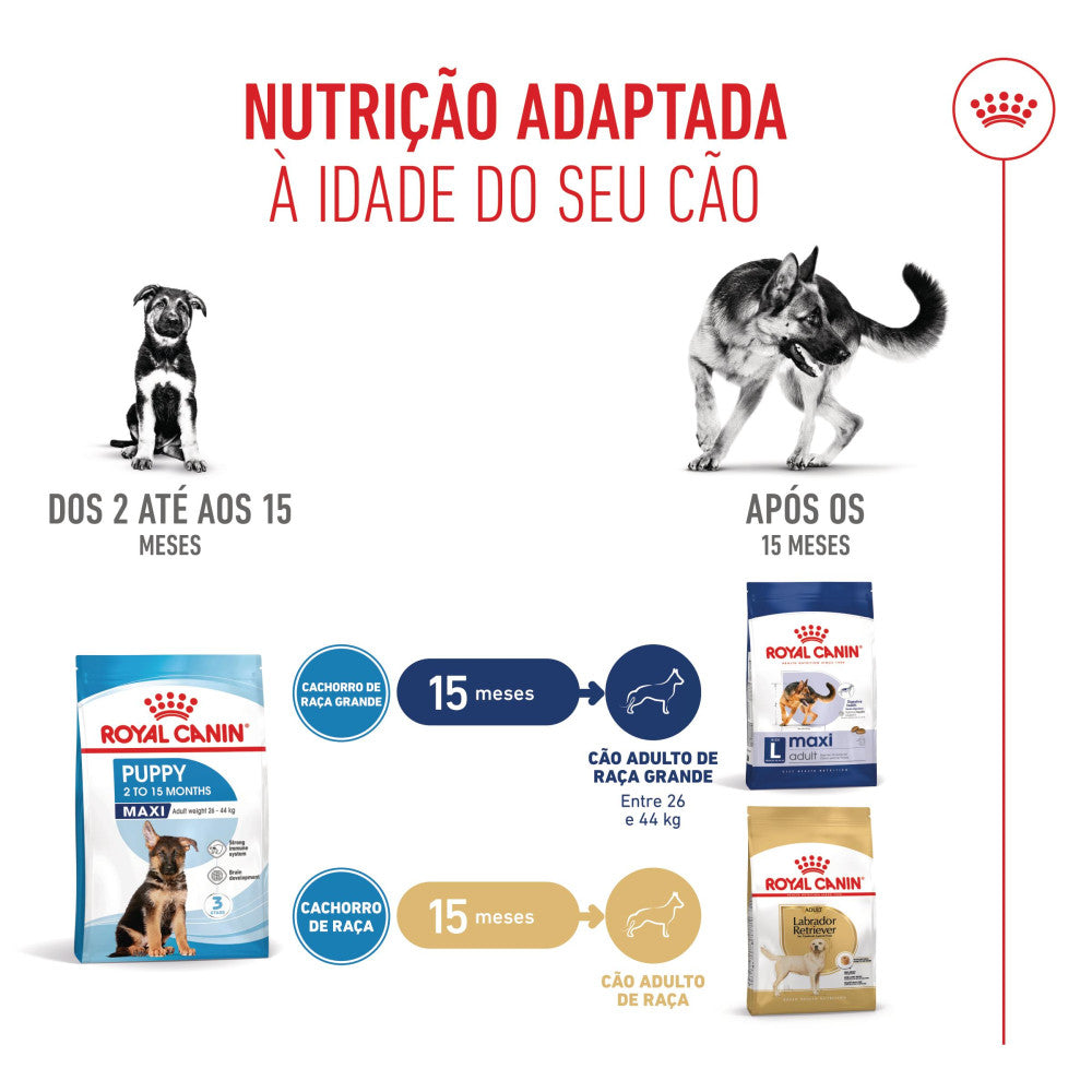 Royal Canin Puppy Maxi - Ração seca para cachorro de porte grande