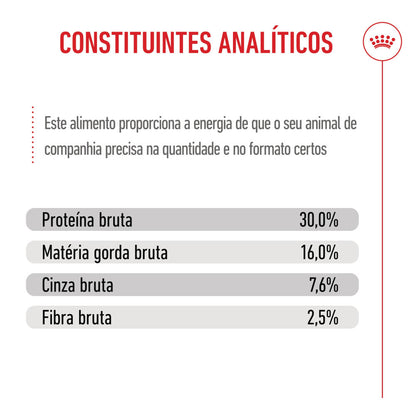 Royal Canin Puppy Maxi - Ração seca para cachorro de porte grande