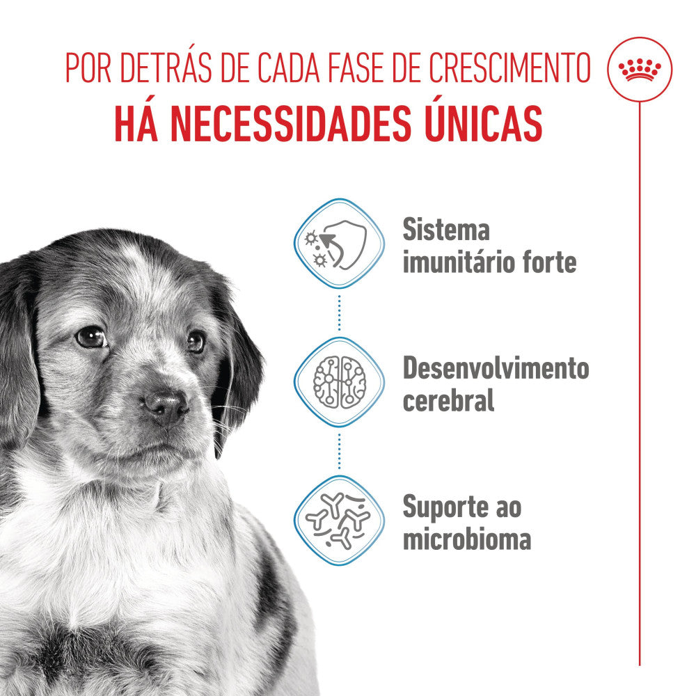 Royal Canin Puppy Medium - Ração seca para cachorro de porte médio