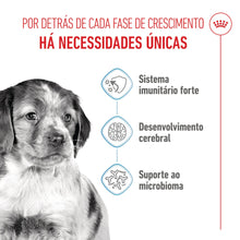 Royal Canin Puppy Medium - Ração seca para cachorro de porte médio