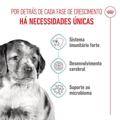 Royal Canin Puppy Medium - Ração seca para cachorro de porte médio
