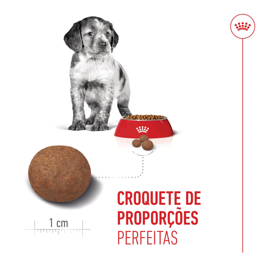 Royal Canin Puppy Medium - Ração seca para cachorro de porte médio