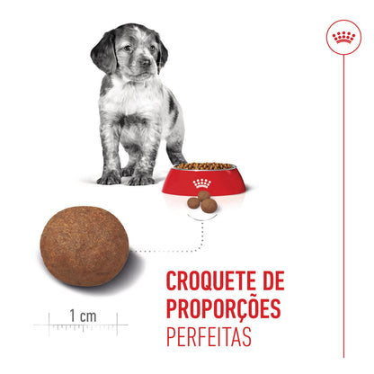 Royal Canin Puppy Medium - Ração seca para cachorro de porte médio