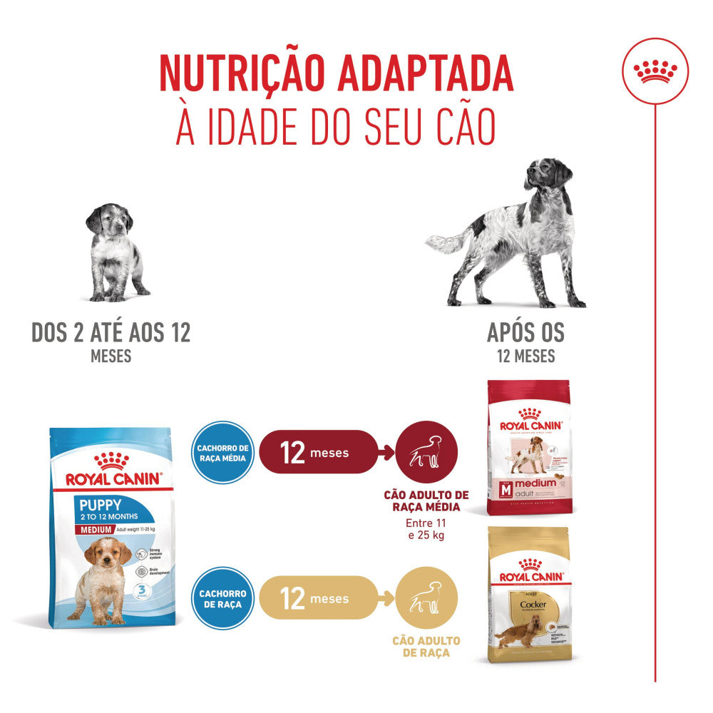 Royal Canin Puppy Medium - Ração seca para cachorro de porte médio