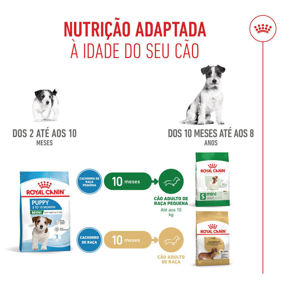 Royal Canin Puppy Mini - Ração seca para cachorro de porte pequeno