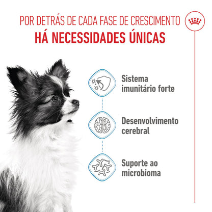 Royal Canin Puppy X-Small - Ração seca para cachorro de porte muito pequeno