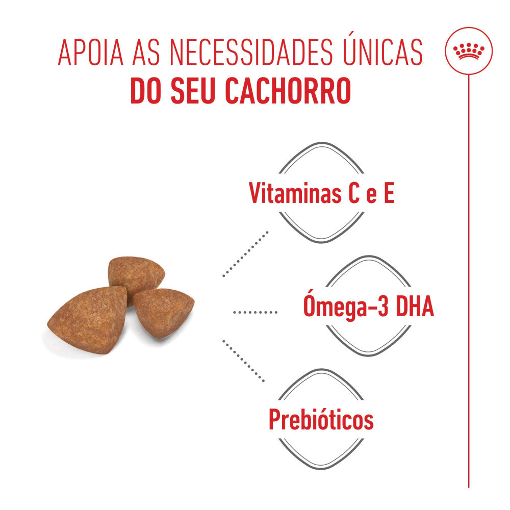 Royal Canin Puppy X-Small - Ração seca para cachorro de porte muito pequeno