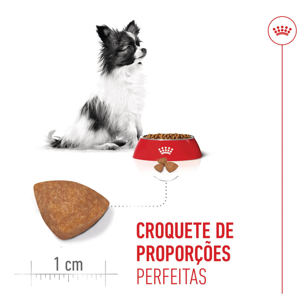 Royal Canin Puppy X-Small - Ração seca para cachorro de porte muito pequeno