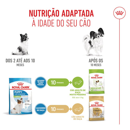 Royal Canin Puppy X-Small - Ração seca para cachorro de porte muito pequeno