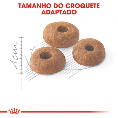 Royal Canin Regular Fit 32 Adult - Ração seca para gato