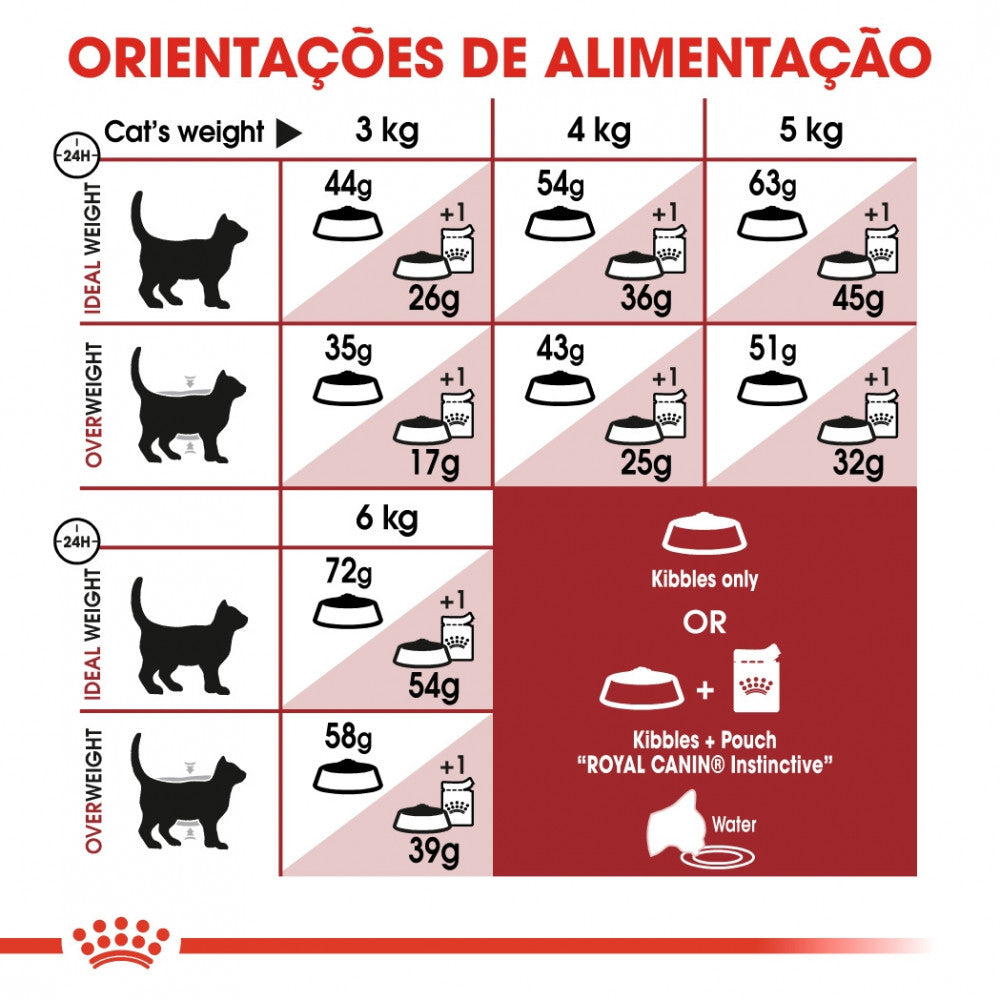 Royal Canin Regular Fit 32 Adult - Ração seca para gato