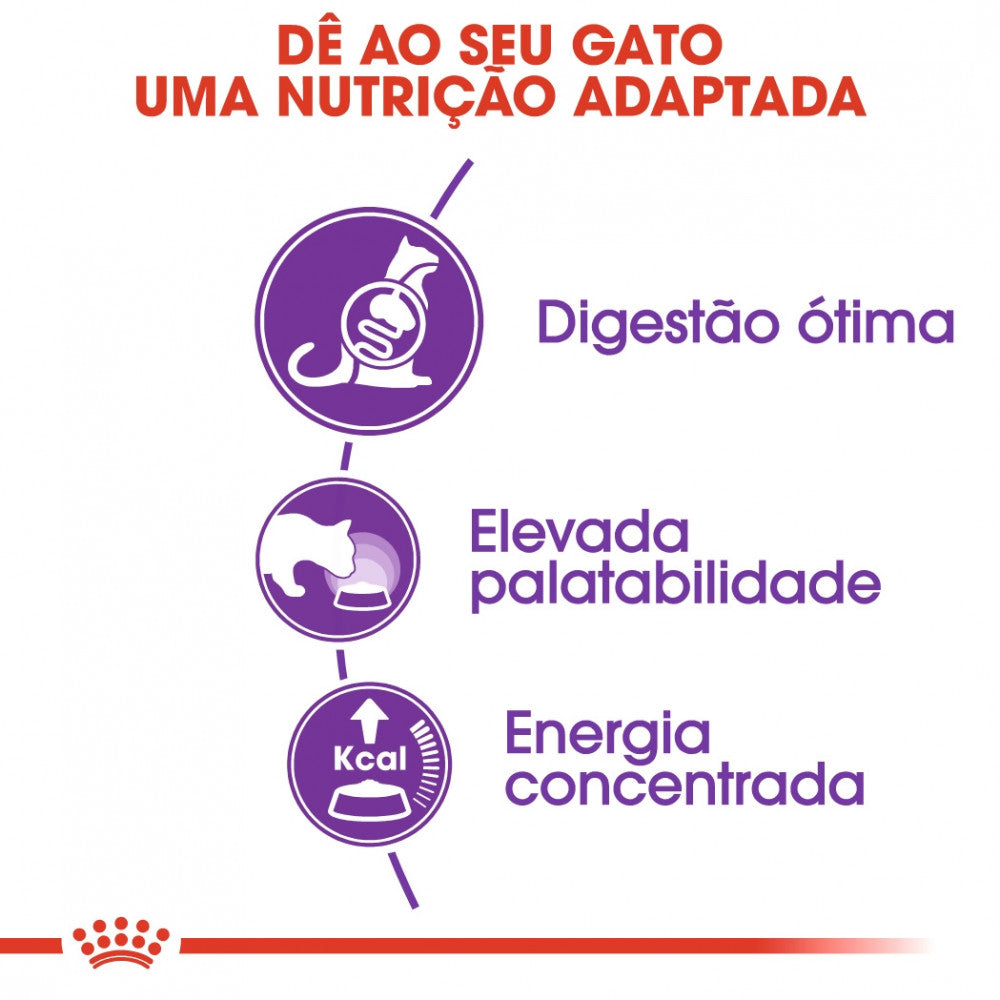 Royal Canin Sensible 33 Adult - Ração seca para gato com sensibilidade digestiva