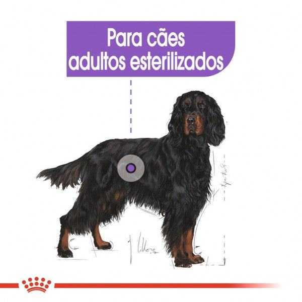 Royal Canin Sterilised Maxi Adult - Ração Seca Cão Esterilizado de Porte Grande