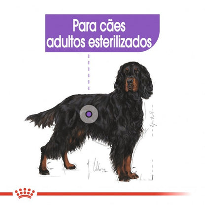 Royal Canin Sterilised Maxi Adult - Ração Seca Cão Esterilizado de Porte Grande
