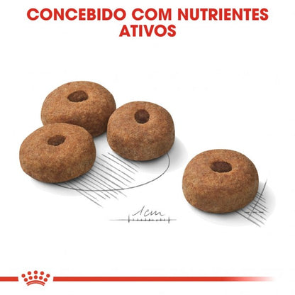 Royal Canin Sterilised Maxi Adult - Ração Seca Cão Esterilizado de Porte Grande