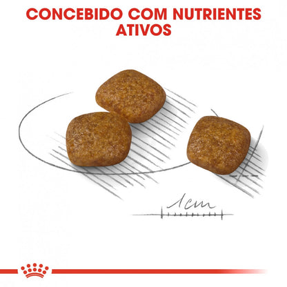 Royal Canin Urinary Care Mini Adult - Ração seca para cão de porte pequeno com sensibilidade urinária