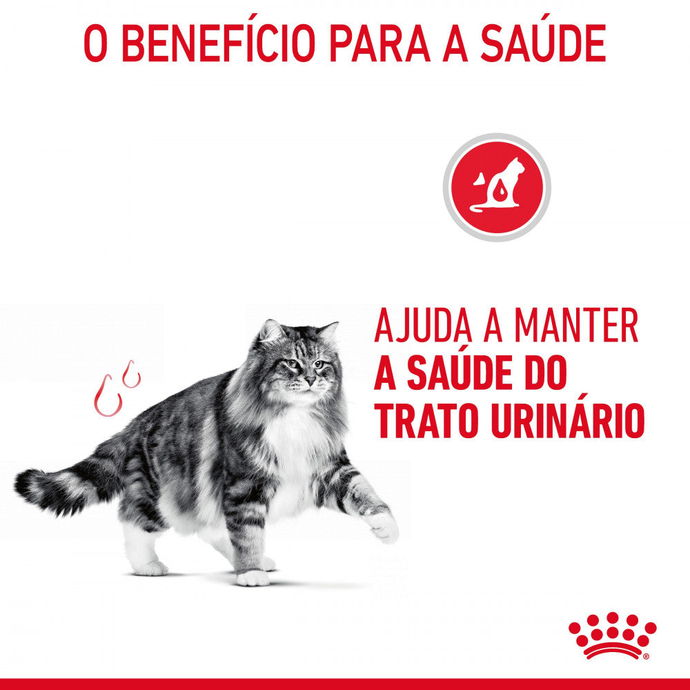 Royal Canin Urinary Care – Ração Seca para Gato Adulto com Sensibilidade Urinária