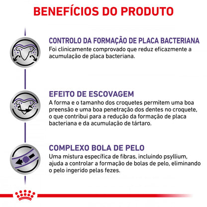 Royal Canin VET Dental - Ração seca para gato adulto para a saúde dentária
