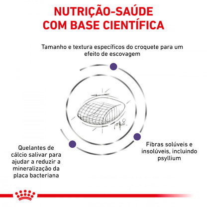 Royal Canin VET Dental - Ração seca para gato adulto para a saúde dentária
