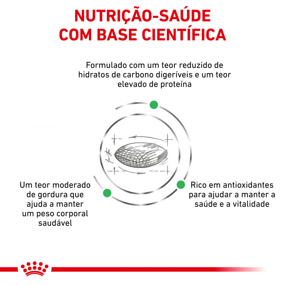 Royal Canin VET Diabetic - Ração seca para gato adulto com diabetes