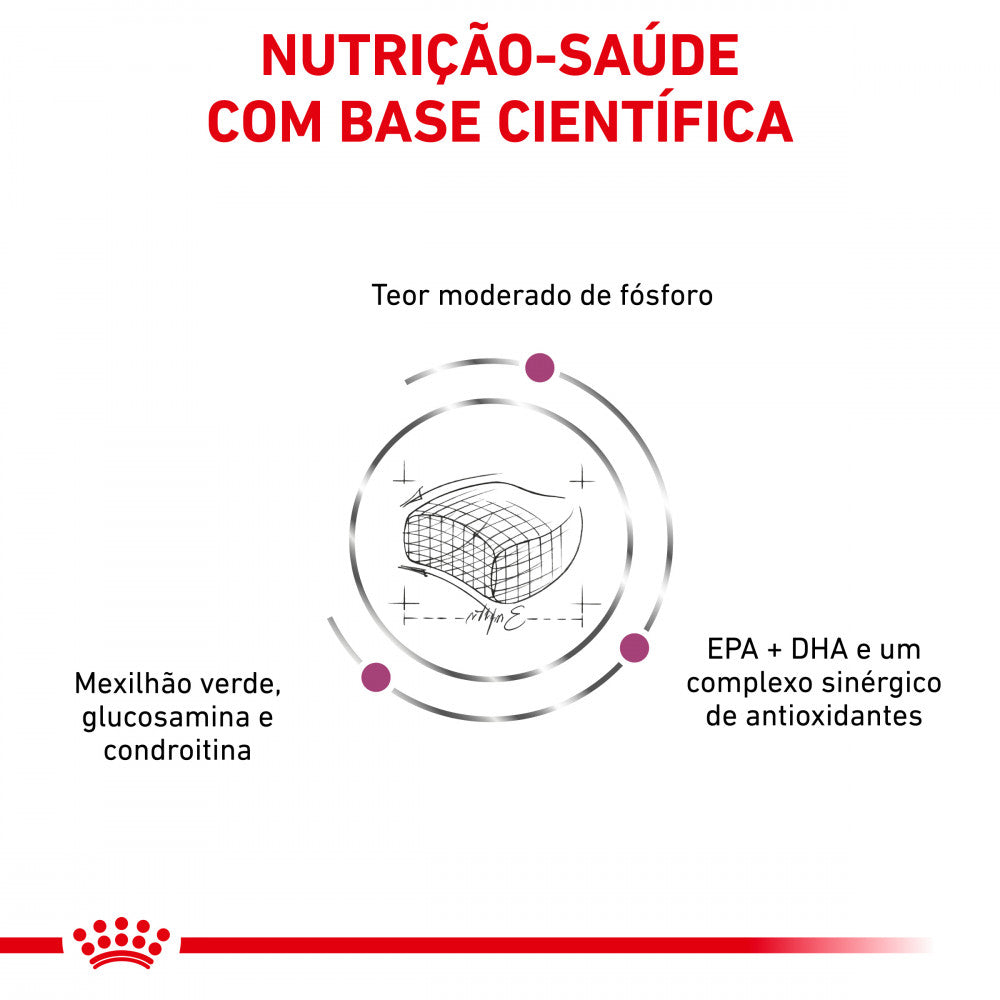 Royal Canin VET Early Renal – Ração seca para gato adulto com doença renal precoce