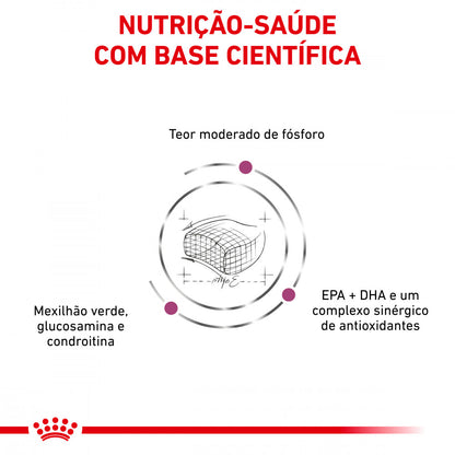 Royal Canin VET Early Renal – Ração seca para gato adulto com doença renal precoce