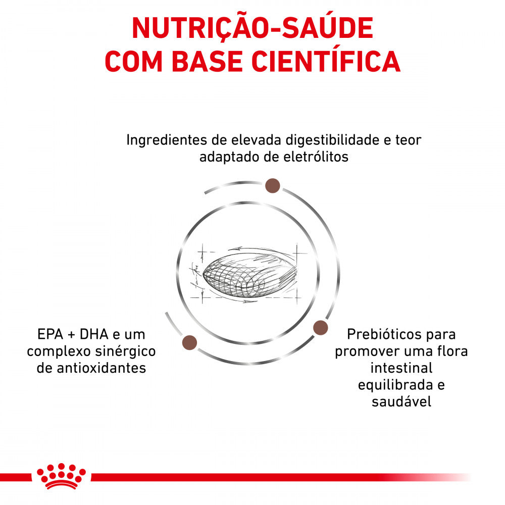 Royal Canin VET Gastrointestinal Hairball - Ração seca para gato adulto com problemas digestivos