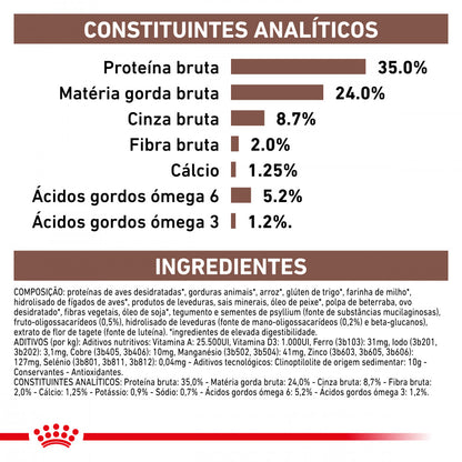 Royal Canin VET Gastrointestinal Kitten - Ração seca para gatinho com problemas digestivos