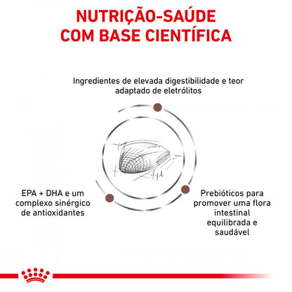 Royal Canin VET Gastrointestinal - Ração seca para gato adulto com problemas digestivos