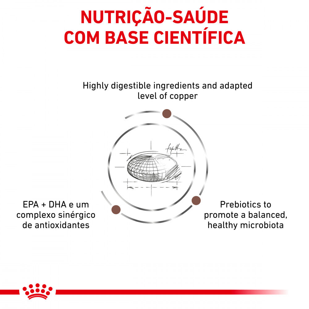 Royal Canin VET Hepatic – Ração seca para gato adulto com insuficiência hepática