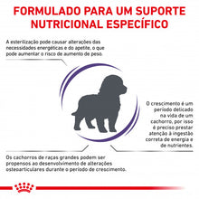 Royal Canin VET Neutered Junior Large Dogs - Ração seca para cachorro grande esterilizado