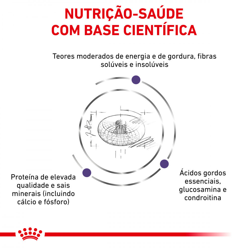 Royal Canin VET Neutered Junior Large Dogs - Ração seca para cachorro grande esterilizado
