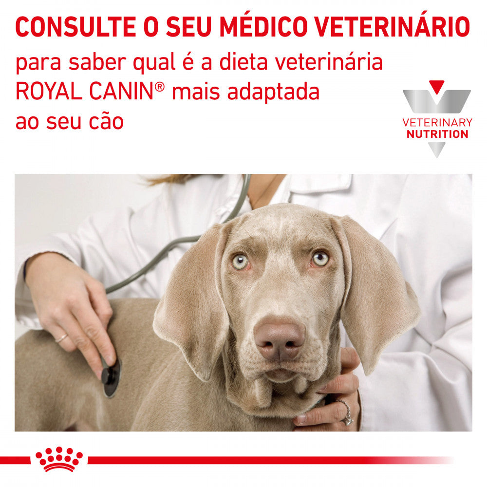 Royal Canin VET Neutered Junior Large Dogs - Ração seca para cachorro grande esterilizado